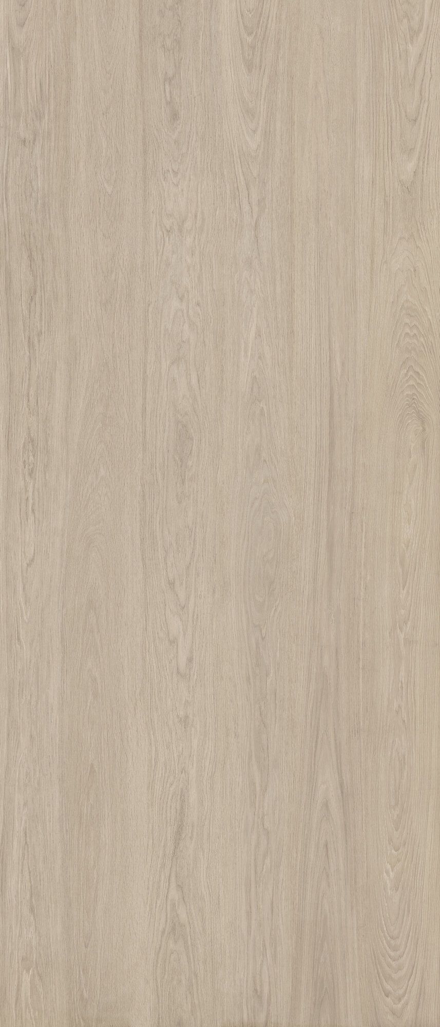 KINWOOD BEECH RECT 120x280